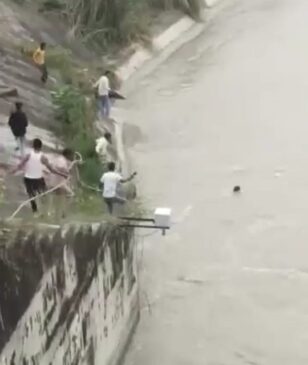 A young woman jumped into the river from Hathnikund Barrage