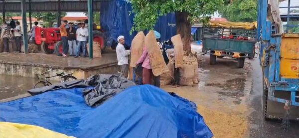 Grain soaked in Saharanpur