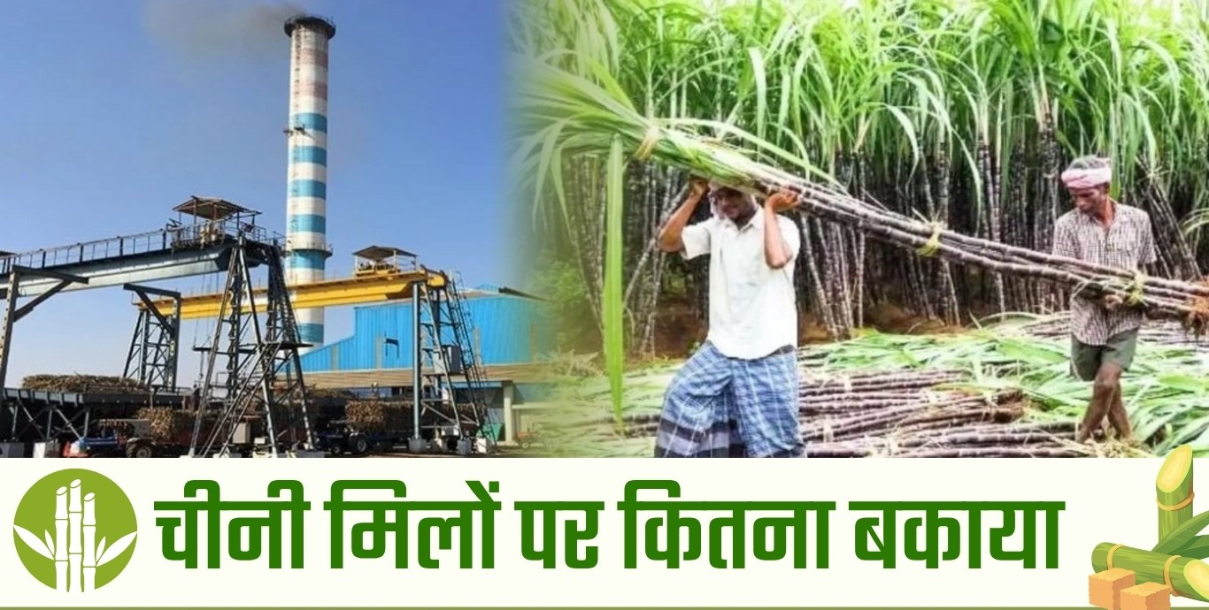 Problems of sugarcane farmers of UP increased