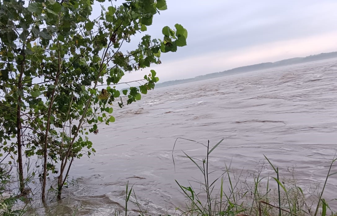 'Illegal cutting of trees', Supreme Court takes cognizance of landslides and floods in North India