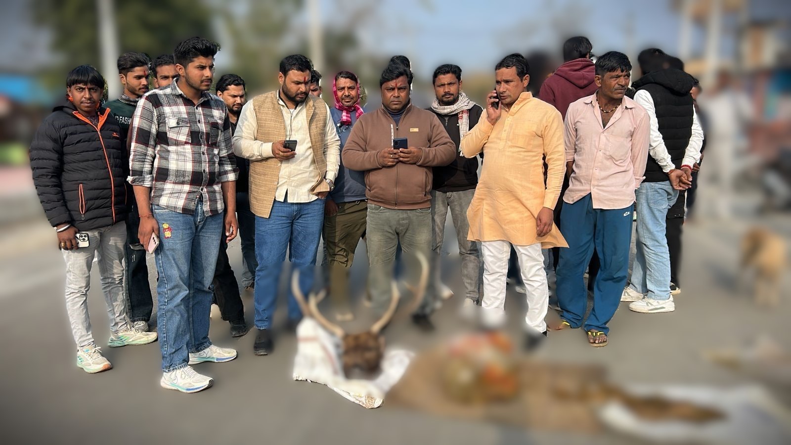 Hunters killed and ate a deer