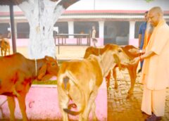 CM योगी ने किया बलरामपुर दौरा, थारू जनजाति के छात्रों से किया संवाद, विकास कार्यों की की समीक्षा