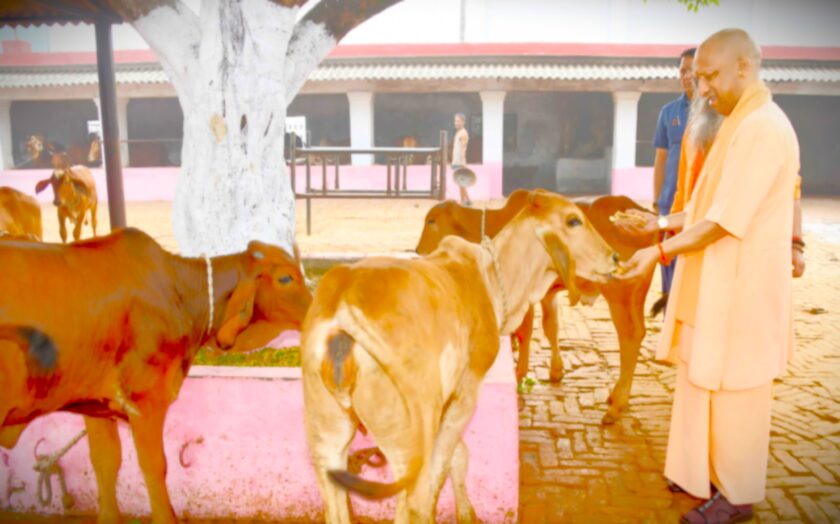 CM योगी ने किया बलरामपुर दौरा, थारू जनजाति के छात्रों से किया संवाद, विकास कार्यों की की समीक्षा