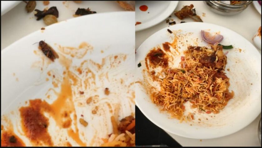 Uproar over cockroach found in biryani Food Department launches investigation