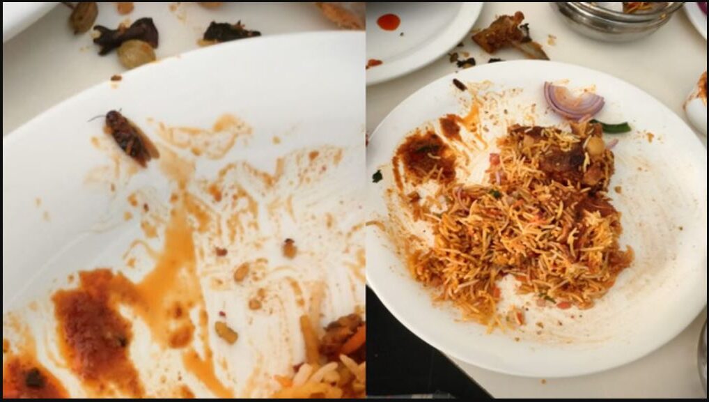 Uproar over cockroach found in biryani Food Department launches investigation