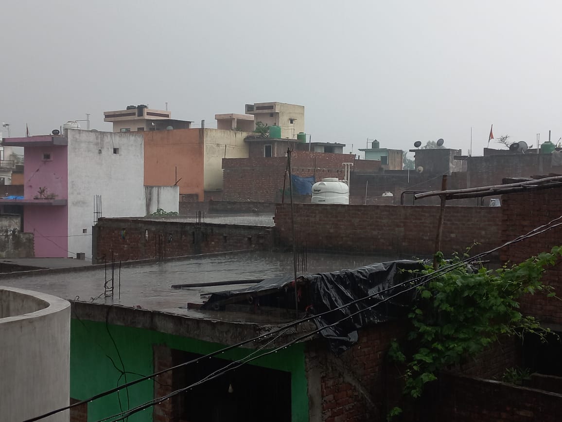 Unseasonal rains have increased farmers' worries, Threatening the wheat crop in Saharanpur