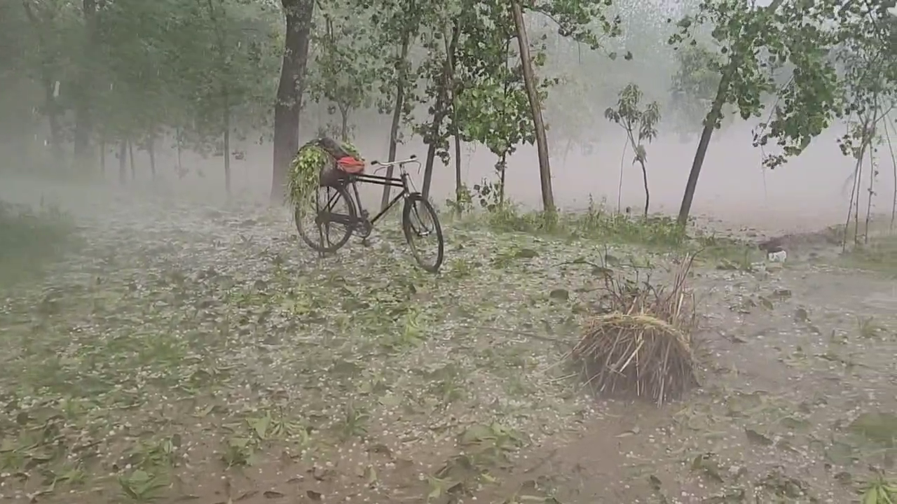 Hailstorm accompanied by strong winds in Saharanpur