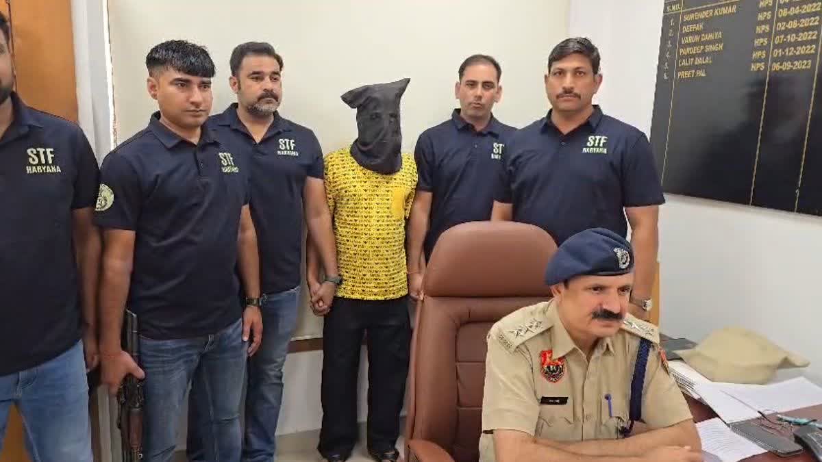 Bhiwani Drug Smuggling Case, Heroin worth ₹35 crore recovered from Bhiwani, Bhiwani Drug Network Busted, STF Raid in Bhiwani, Haryana STF Seizes Heroin,