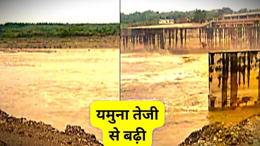 लगातार बारिश से बढ़ा बाढ़ का खतरा, हथनीकुंड बैराज से छोड़ा गया हजारों क्यूसेक पानी, यमुना किनारे अलर्ट