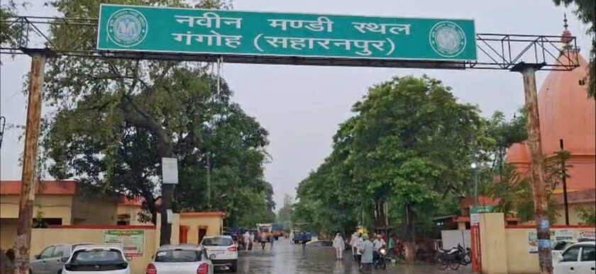Grain soaked in Saharanpur