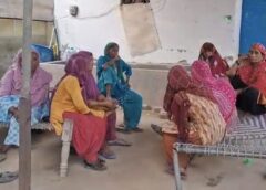 गोगा म्हाड़ी पर प्रसाद चढ़ाने गया 12 साल का मन्नू, कुत्तों के झुंड ने नोचकर मार डाला