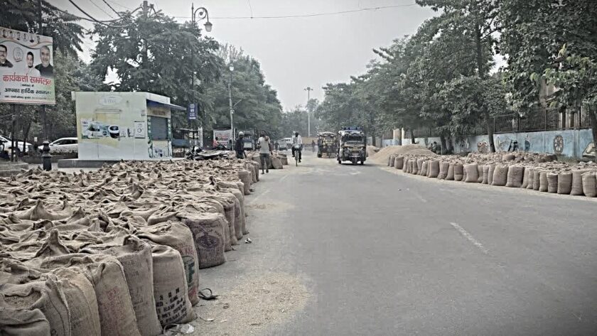 Haryana Paddy Procurement 2026, Paddy Procurement in Haryana, Haryana Paddy Procurement, Paddy Procurement MSP Haryana, Paddy Lifting from Haryana Mandis,