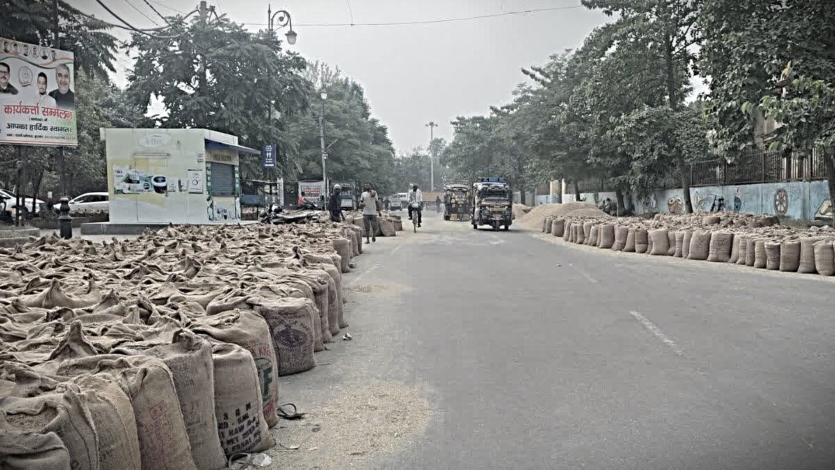 Haryana Paddy Procurement 2026, Paddy Procurement in Haryana, Haryana Paddy Procurement, Paddy Procurement MSP Haryana, Paddy Lifting from Haryana Mandis,
