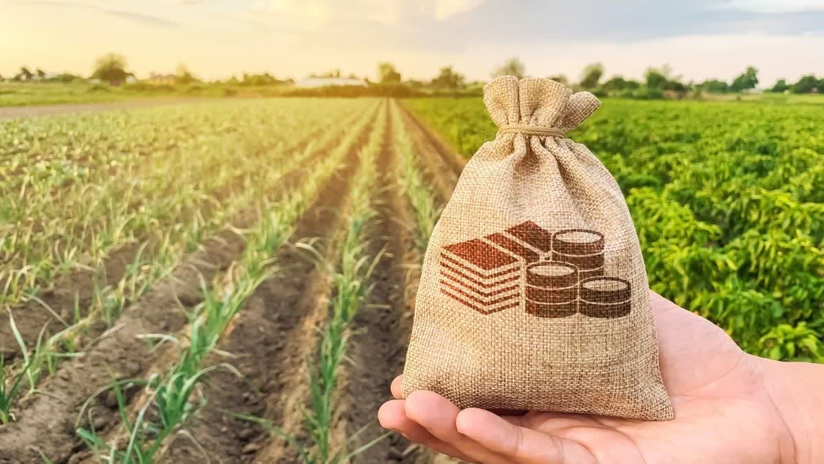 Rs 161.96 crore for farmers in Uttarakhand